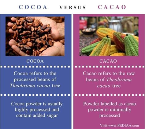 Philosophie cacao mafic